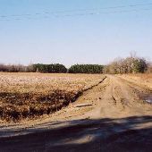 Sugar Hill Road & Pecan Tree