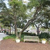 Freshfields Village - Kiawah