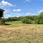 Elmwood Farm