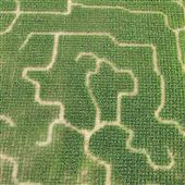 Cherry Place Farms