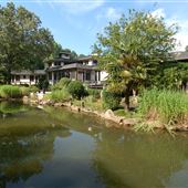 Dragon Wall Estate