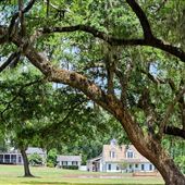 Pynes and Myrtle Grove Plantations