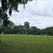 Airy Hall Plantation - Polo  & Rice Fields