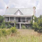 Tibwin Plantation