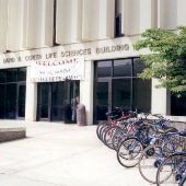 USA Electron Microscopy Lab