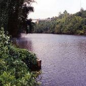 Pacolet River at Converse Mill