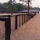 Springdale Horse Race Track (Steeplechase) - Stable E-3
