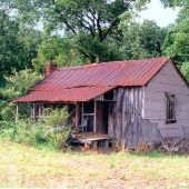 Wilson Farms-Share Crop Shacks