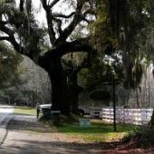 River Road