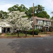 W. Hampton Street Houses