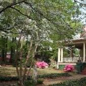 Irvin Street House