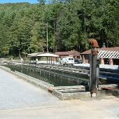 Fish Hatchery