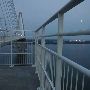 Arthur Ravenel Jr. Bridge