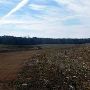Helen Long  Farms (behind the house)