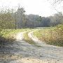Millaree Hunt Club