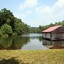 Boy Scout Camp