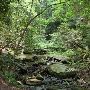 Twin Falls (aka Reedy Cove Falls)