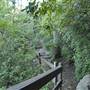 Caesars Head State Park