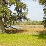 Boone Hall Plantation - MARCH Looks