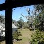 Hampton Plantation State Park