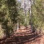 Chester State Park