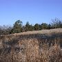 Chester State Park