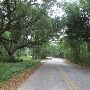 Old Cemetery Rd.