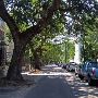 Charleston - General Overview