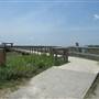 Port Royal Boardwalk 2011