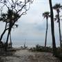 Hunting Island State Park - Eroded Beach