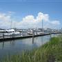 Ripley Light Marina
