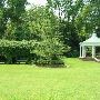 Collins Park