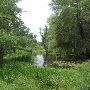 Boone Hall Plantation - Lake/Pond and Gardens