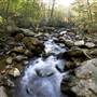 Jones Gap State Park