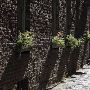 Charleston - General Overview