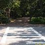 College of Charleston - Walkway (Coming St. to St. Phillip St.)