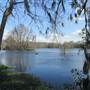 Magnolia Plantation & Gardens - Swamp Garden Lake and More Swamps