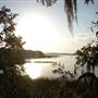 Pinckney Colony