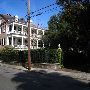 Gardens of Charleston - Anson St. #2