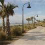 Fith Ave. Boardwalk