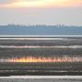 Shellrake lodge - Marsh Flats