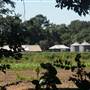 Rosebank Farms - Sheds
