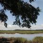 Botany Bay - Ocella Creek