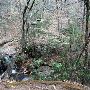 Caesars Head State Park - Wildcat Branch Falls