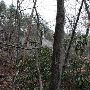 Caesars Head State Park - Wildcat Branch Falls