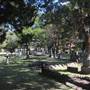 Prince George Winyah Episcopal Church - Cemetery