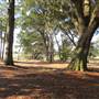 The Links At Stono Ferry - Hole 14