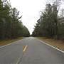 Country Roads - Hwy. 402 between Huger & Cordesville