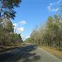 Halfway Creek Road