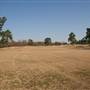 Sedgewood Country Club - Field